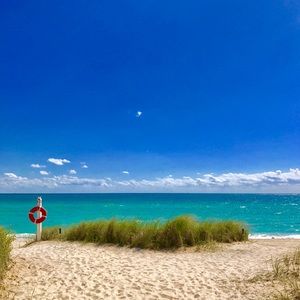 Meet your Posher, Amelia